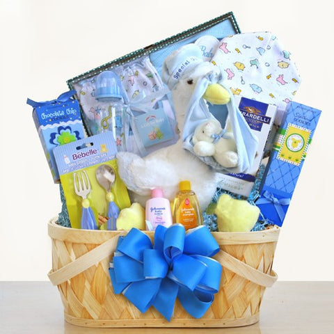 Special Stork Delivery Baby Boy Basket