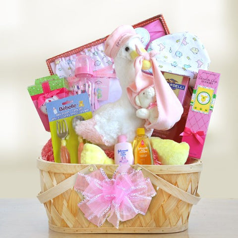 Special Stork Delivery Baby Girl Basket